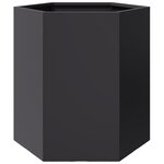 vidaXL Jardinières 2 Pièces noir hexagone 46x40x45 cm acier