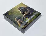 Pièce de monnaie en Argent 2000 Francs g 62.2 (2 oz) Millésime 2024 Growing Up GORILLA
