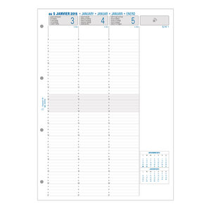 Recharge Exatime 29 semainier millésimé 1/4 h par 1/4 h 297x210 mm EXACOMPTA
