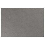 vidaXL Couverture lestée avec housse Gris 120x180 cm 5 kg Tissu