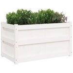vidaXL Jardinières 2 Pièces blanc bois de pin massif