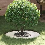 vidaXL Anneau d'arbre plat - Blanc Ø30/60 cm en acier.