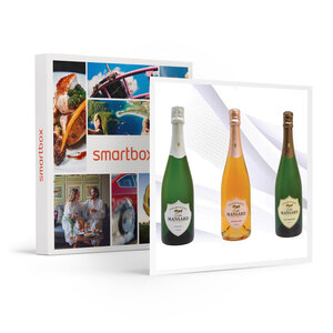 SMARTBOX - Coffret Cadeau Coffret 6 bouteilles de champagne à recevoir chez soi -  Gastronomie