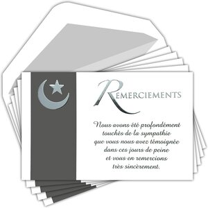 Lot 5 cartes remerciements condoléances +5 enveloppes blanches format 9x14cm