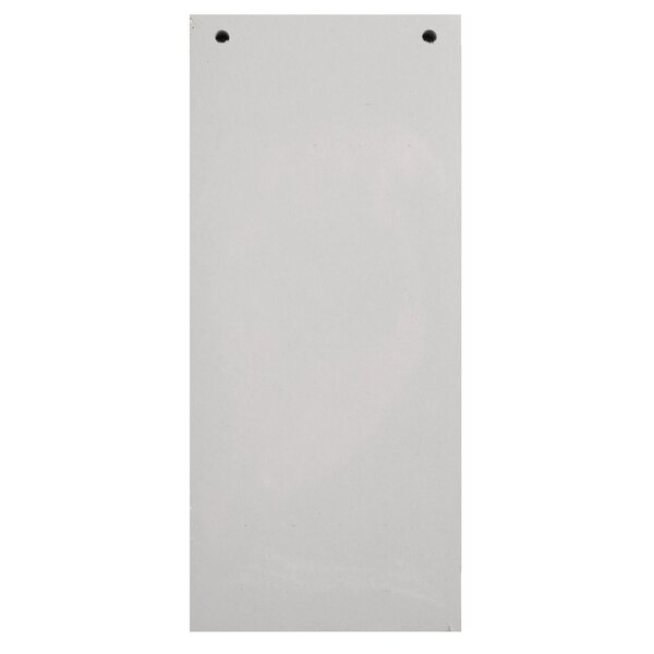 Paquet 100 Fiches Intercalaires Horizontales Unies Perforées Forever - 105x240mm - Gris - X 12 - Exacompta