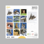 Calendrier 2022 mural 30x30 cm Chats