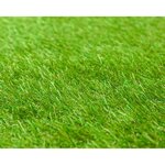 BEAU RIVAGE Gazon synthétique artificiel 20mm - 1 x 3 M