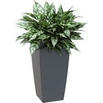 ARTEVASI - Pot pisa auto-arrosage 60cm anthracite 33 x 33 x h61 cm - 4,42l