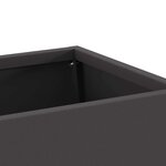 vidaXL Braise Noir 60 x 35 x 100 cm Acier