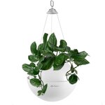 LECHUZA Jardinière suspendue BOLA Color 23 ALL-IN-ONE Blanc