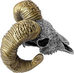 Monnaie SOVEREIGN Carved Skull 2 Oz Argent 2000 Francs Cameroon 2026 (PRÉCOMMANDE)