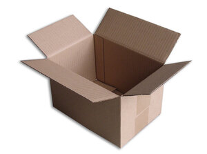 Lot de 50 boîtes carton (n°16) format 220x150x140 mm