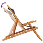 vidaXL Chaises de plage pliables lot de 2 noir tissu