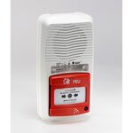 Alarme type 4 radio avec flash