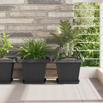 vidaXL Plateau carré à fleurs 24 pc Noir 21 x 21 x 2 cm Plastique