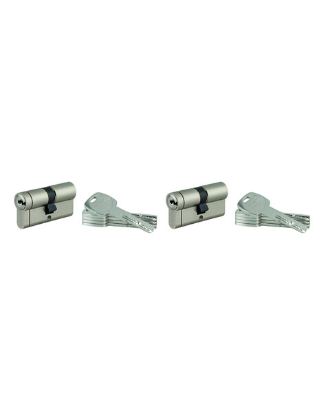 THIRARD - Lot de 2 cylindres de serrure  TRANSIT 1  30X30 mm  nickelé  s'entrouvrant  10 clés - THIRARD