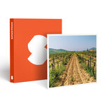 SMARTBOX - Coffret Cadeau Visite du vignoble de la Bastide des oliviers et de sa cave avec dégustation pour 2 -  Gastronomie