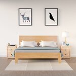 vidaXL Tables de chevet 2 Pièces 50x35x61 5 cm Bois de pin massif