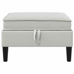 vidaXL Pouf avec Rangement Gris clair Velours