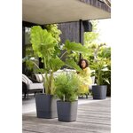 Pot de fleur Plastique Carré Greensense Aqua Care Gris Charbon 38 x 38 x 38 9 cm 31 L