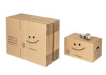 Pack 40 cartons standard avec poignées + 2 adhésifs offerts