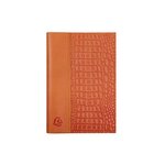 Agenda Journalier DAY-TO-DAY Baby-Croco 150x100 Coloris Aléatoire EXACOMPTA