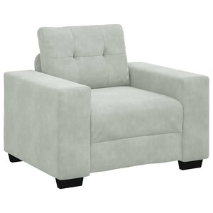 vidaXL Fauteuil Gris clair 100x78x80 cm Velours