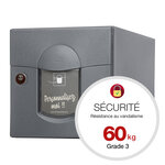 Boîte aux lettres Soléa  1 porte  Gris anthracite aspect sablé REN 0206MS