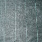 Nature Bâche de contrôle de mauvaises herbes avec chevilles 2x5 m Noir