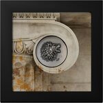 Pièce de monnaie en Argent 5 Dollars g 31.1 (1 oz) Millésime 2025 Numismatic Icons LEON (PRÉCOMMANDE)