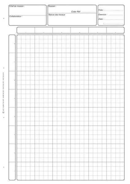 Bloc Audit Contrôle Interne A4 80 pages Avec Entête de Dossier Blanc ELVE