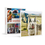 SMARTBOX - Coffret Cadeau 2h de Cani-Balade inoubliable pour 1 adulte et 1 enfant près de Valence -  Sport & Aventure