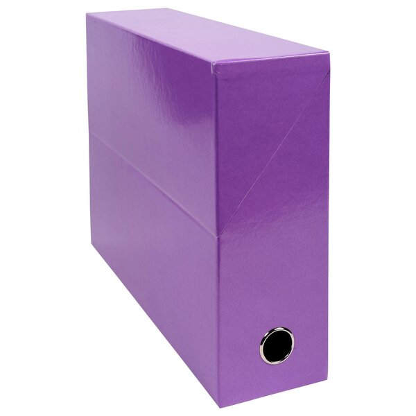 Boite Transfert Dos 90mm Iderama - Violet - X 5 - Exacompta
