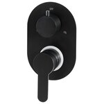 vidaXL Système de douche Acier inoxydable 201 Noir