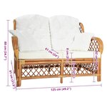 vidaXL Canapé à 2 places Marron clair Rotin