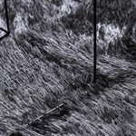 vidaXL Tapis Shaggy à poils longs NAVARRA gris foncé 200x290 cm