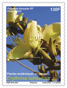 Timbre Polynésie Française - Erythrina tahitensis