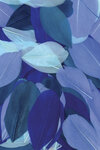 Plumes coupées camaieu bleu 10g 6cm