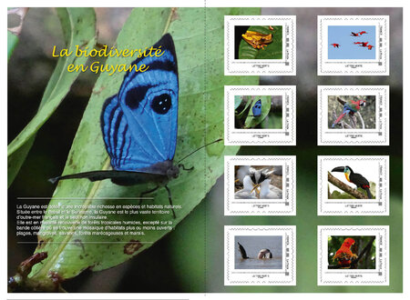 Collector 8 timbres - La biodiversité en Guyane - Lettre Verte