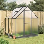 vidaXL Serre avec cadre de base anthracite 169x169x202 cm aluminium