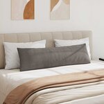 vidaXL Coussins de canapé 2 Pièces Gris clair 145 x 40 cm