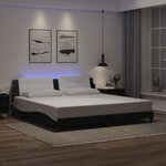 vidaXL Cadre de lit avec LED sans matelas noir et blanc 200x200 cm
