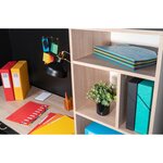 Trieur HARMONIKA® à fenêtres et élastique carte lustrée 24 comp Vert EXACOMPTA