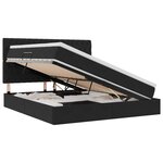 vidaXL Lit avec rangement et LED avec LED Noir 160 x 200 cm Velours