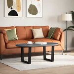 vidaXL Pieds de table basse en forme de V  2 pièces  noir  50 x (42-43 3) cm  acier