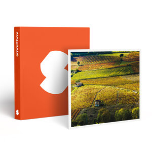 SMARTBOX - Coffret Cadeau Vol en montgolfière pour 2 personnes au-dessus des vignobles du Beaujolais en semaine - Sport & Aventure