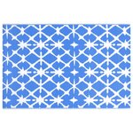 vidaXL Tapis d'extérieur ARAKIL bleu et blanc 80x150 cm PP