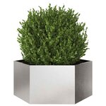 vidaXL Jardinière hexagone 104x90x45 cm acier inoxydable