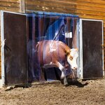 Kerbl Ensemble de rideaux PVC 225 x 30 cm 291162
