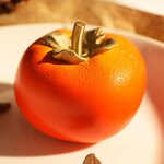 Pièce de monnaie en Cuivre 100 Francs g 400 Millésime 2025 PERSIMMON 3D